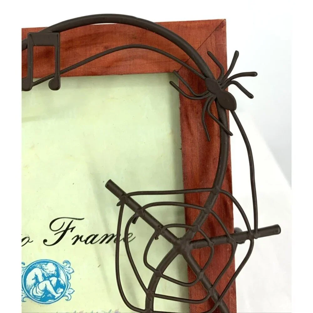 Spiders Spideweb Picture Frame 5 x 7